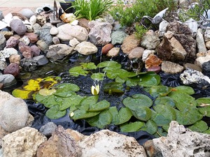 Pond, 13k lux
